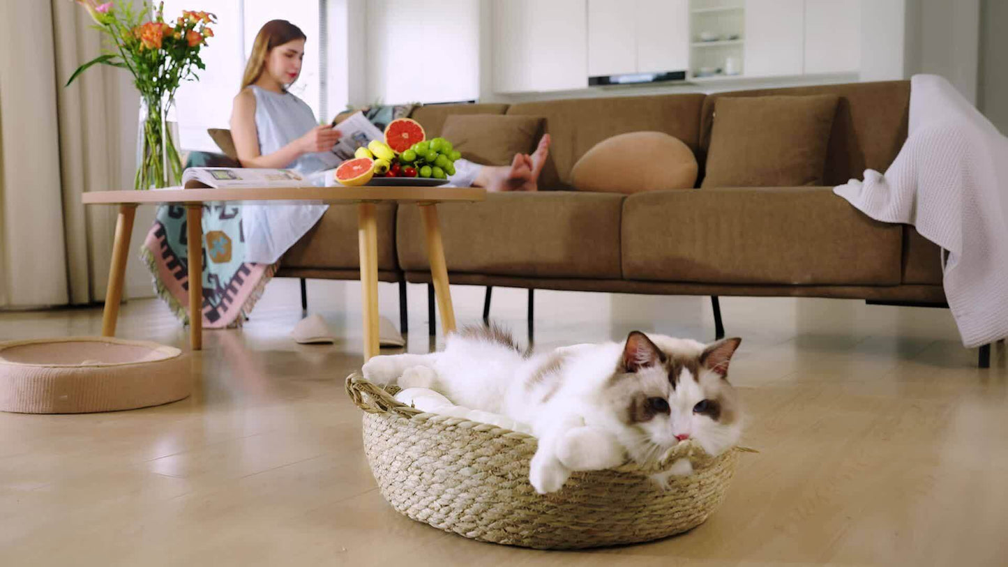 Cat lying in a basket on a wooden floor with a woman reading a book in the background.