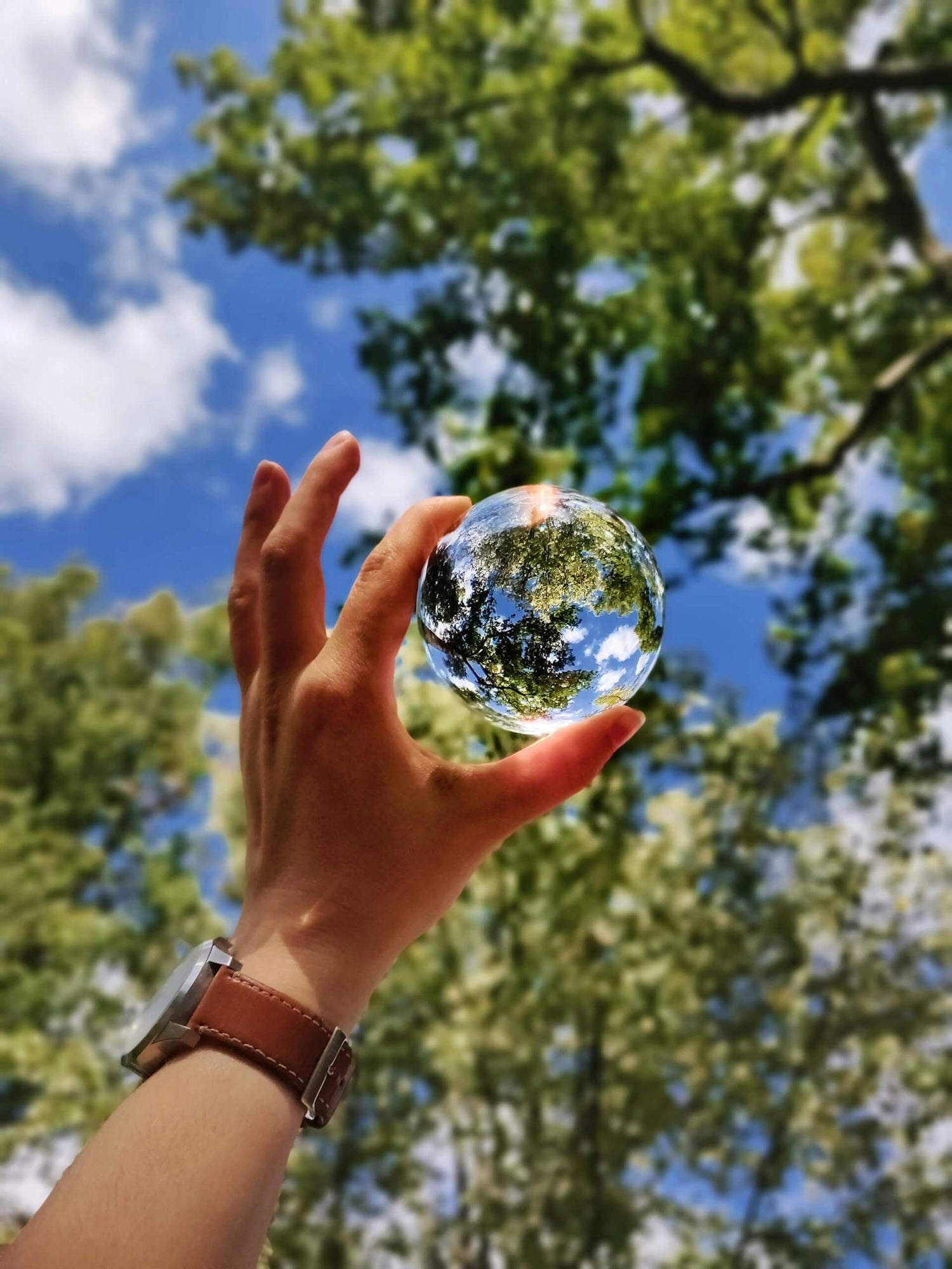 WorkZen Interior's commitment to the environment