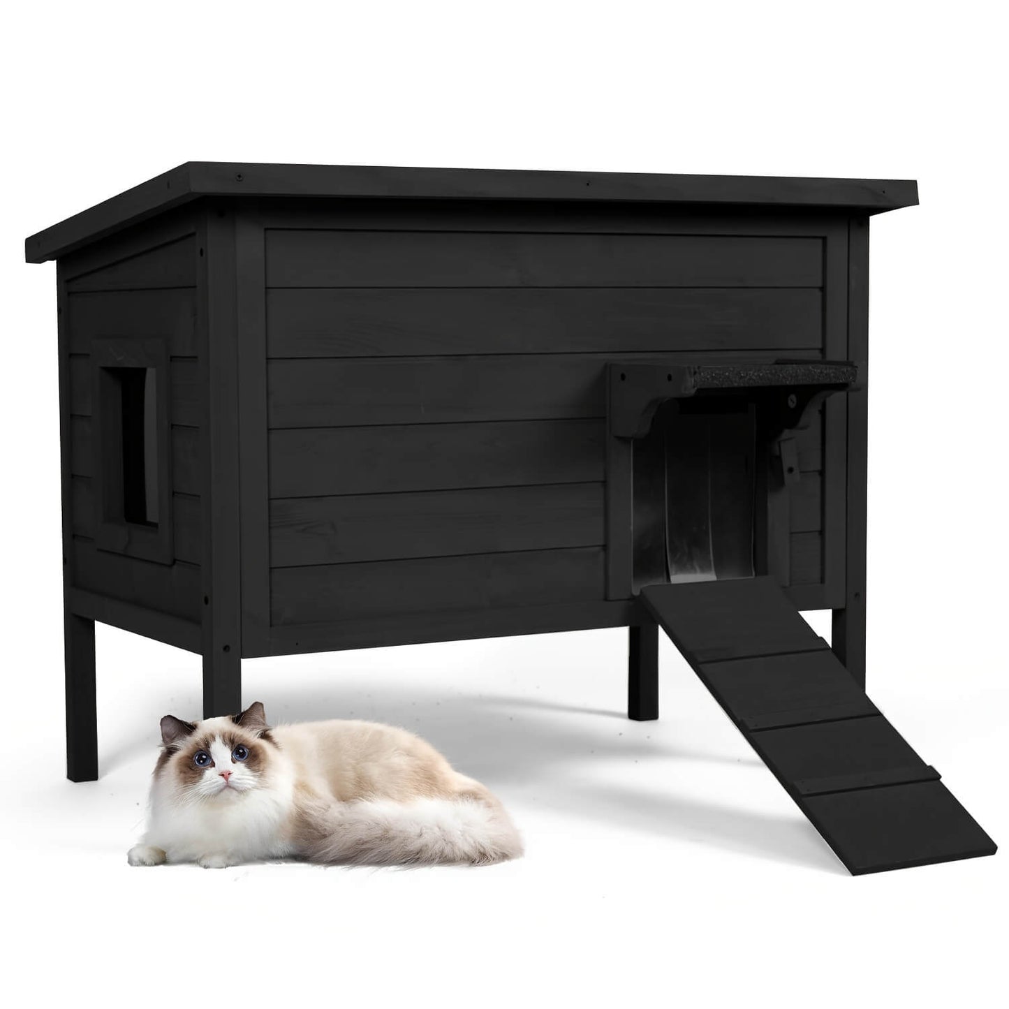 Black pet house with a cat lying on the ground