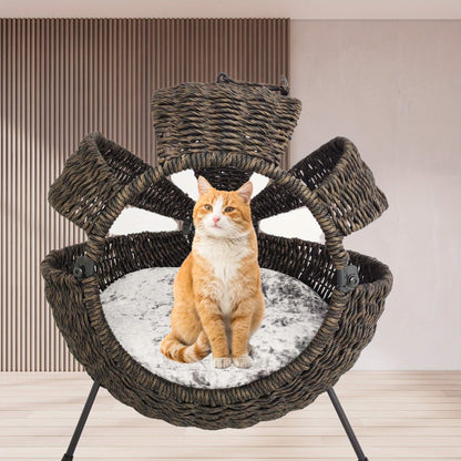 Cat sitting on a wicker pet bed with a cushion in a room setting