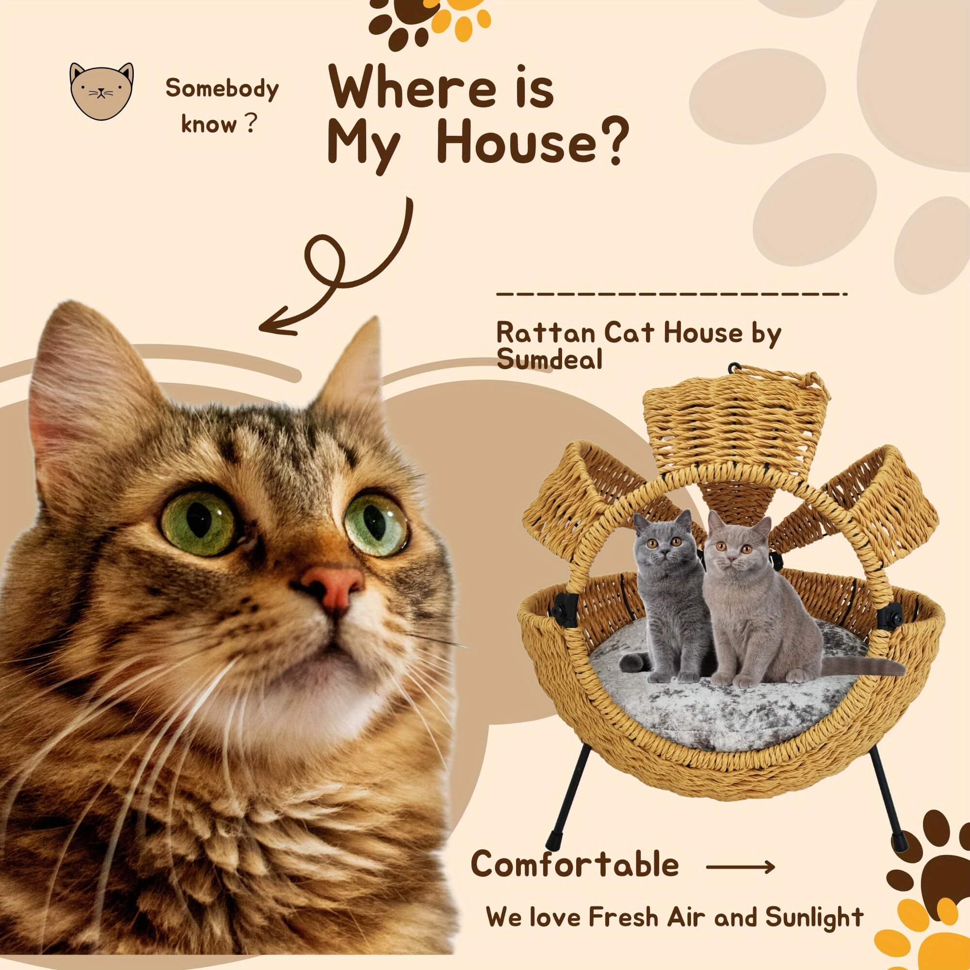 Cat looking at a rattan cat house with text 'Where is My House?' and 'Rattan Cat House by Sumdeal'.