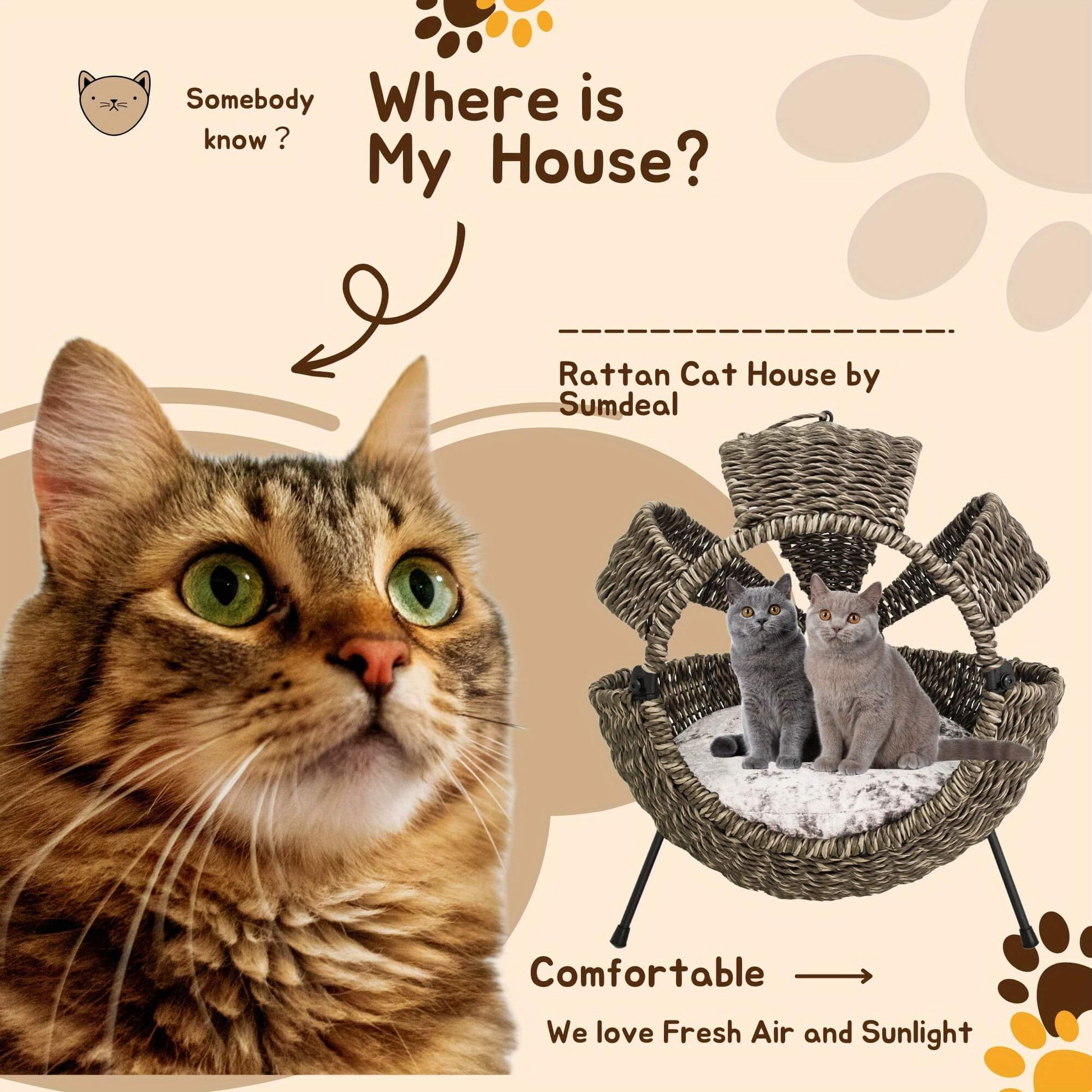 Rattan cat house by WorkeZn Interiors with a cat looking at it, on a patterned background.