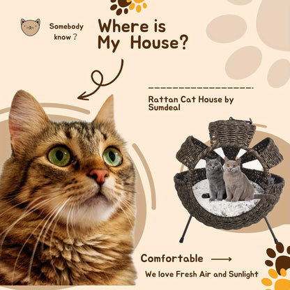 Cat looking at a rattan cat house 
