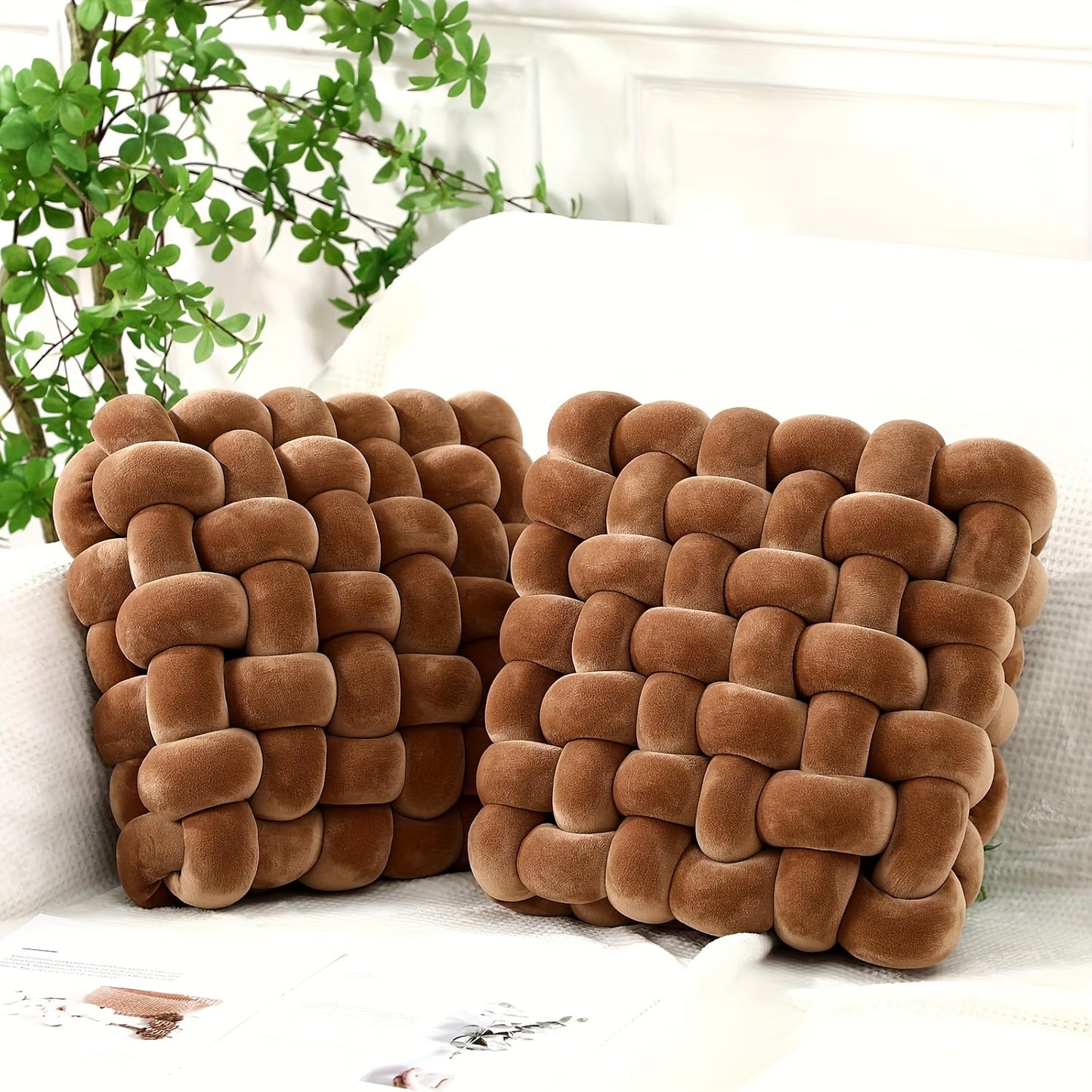 Two brown woven pillows on a white surface with a plant in the background