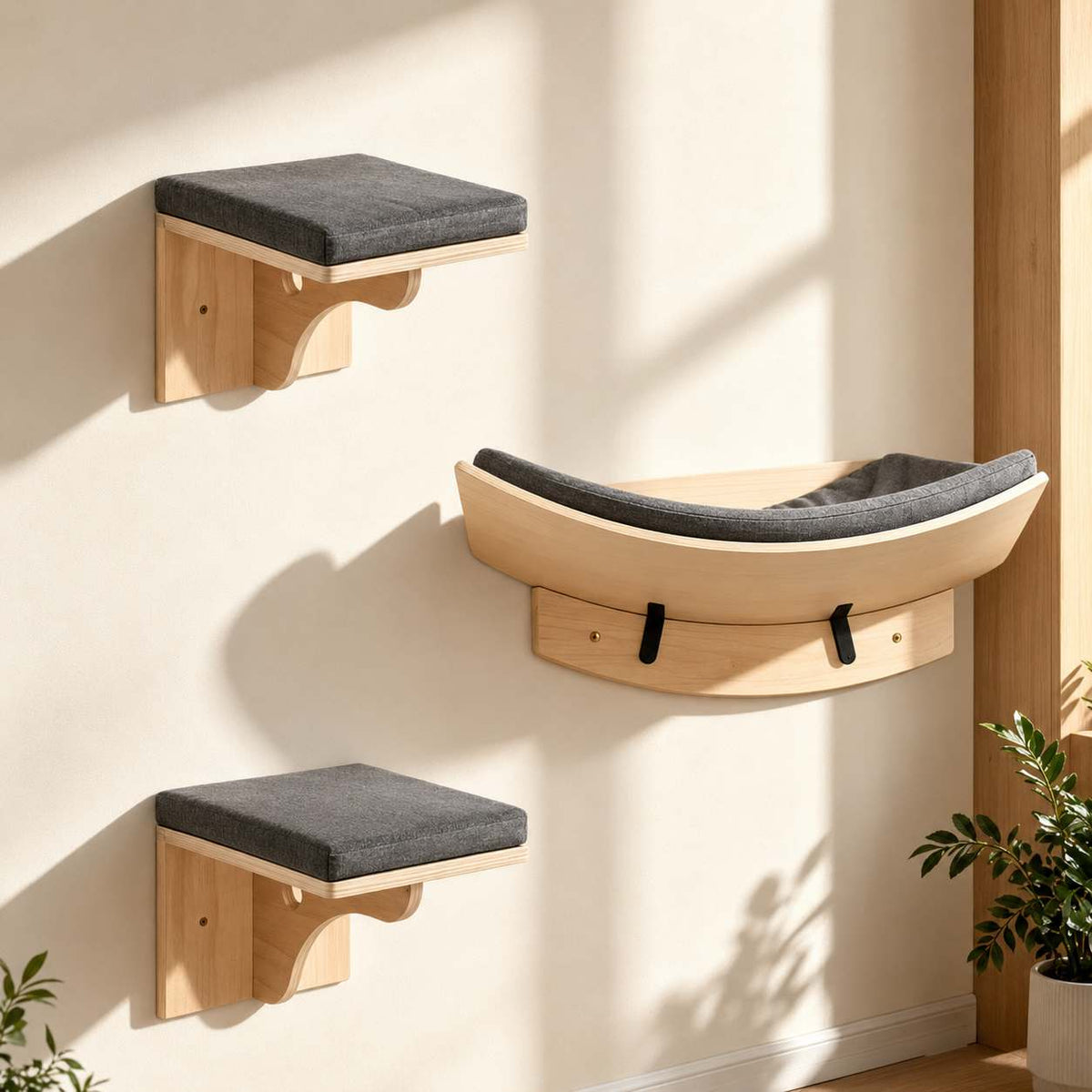 Three wall-mounted cat perch pieces in a warm wood finish with dark gray cushions, arranged on a beige wall with soft window shadows and a small plant at the lower right.