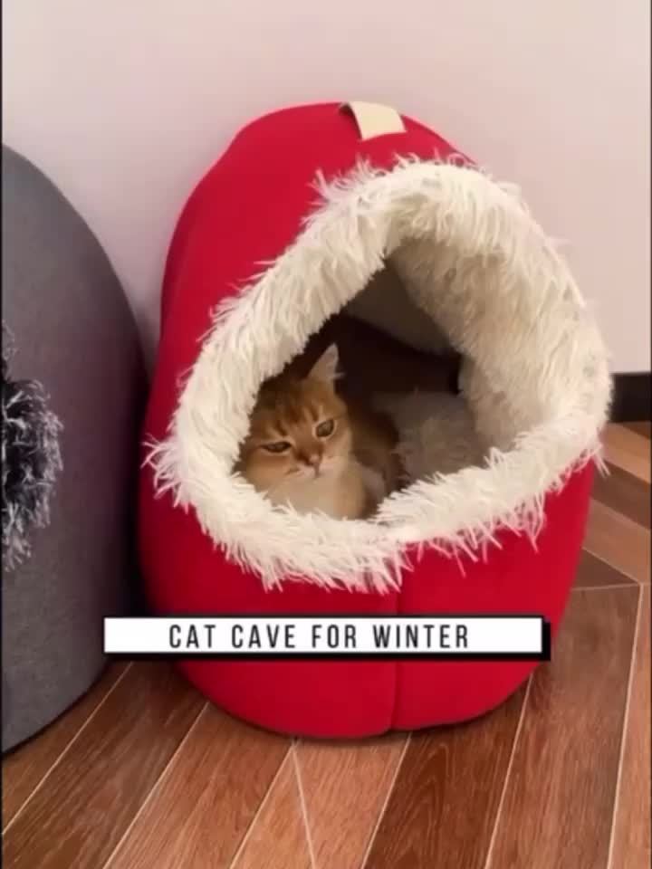 Cat in a red and white cat cave bed.