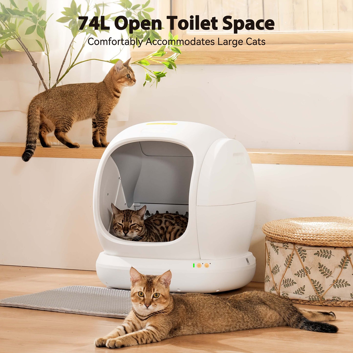 Meowant self cleaning litter box with cats around it in a home setting