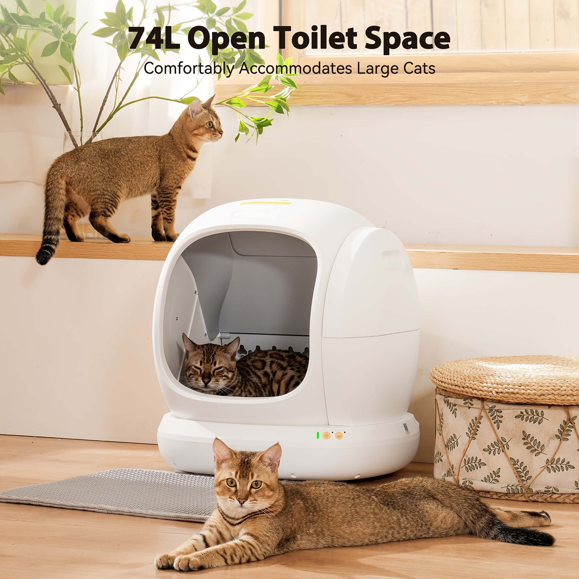 Meowant self cleaning litter box with cats around it in a home setting