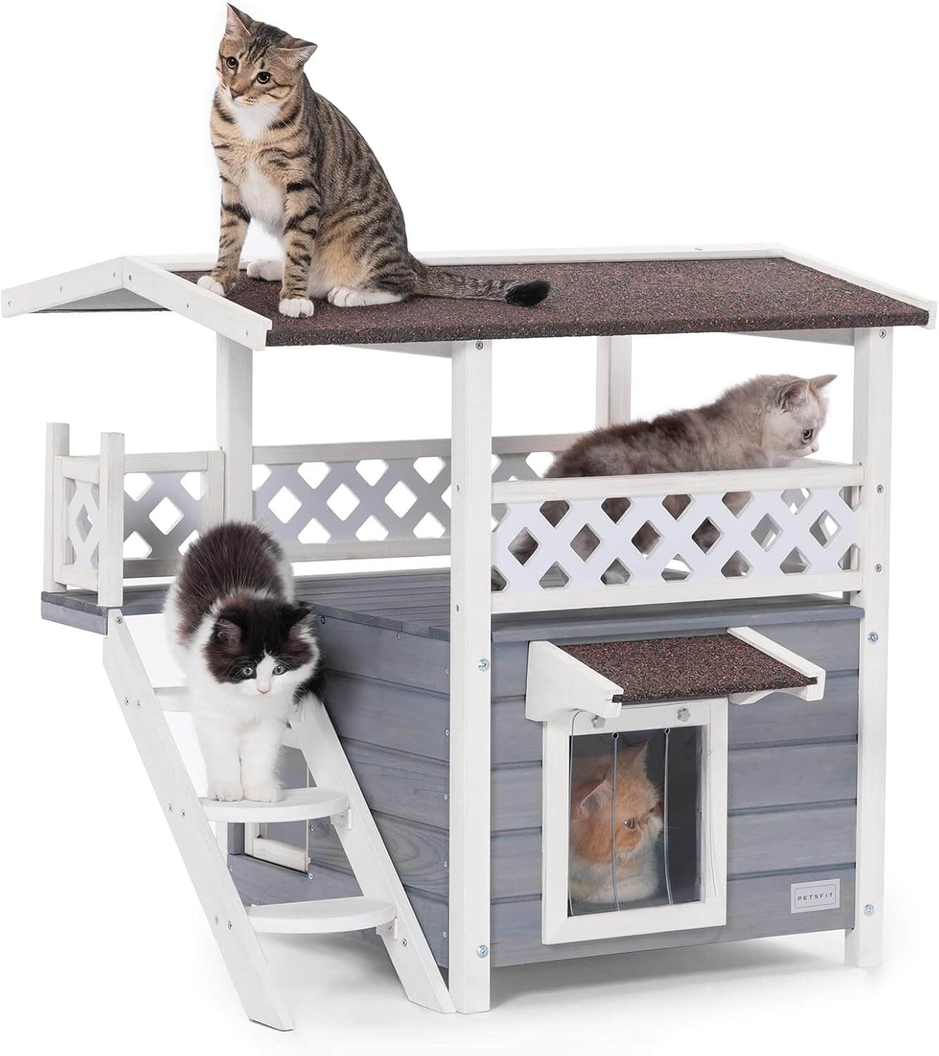 Cat house with multiple levels and a cat on each level