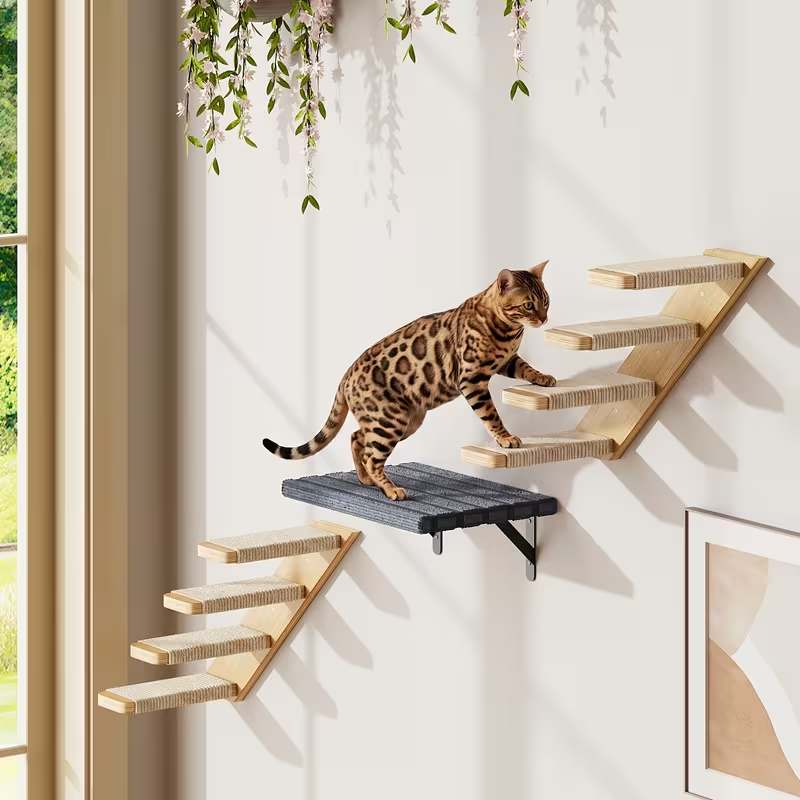 Zen Wall-Mounted Cat Climbing Wall Collection