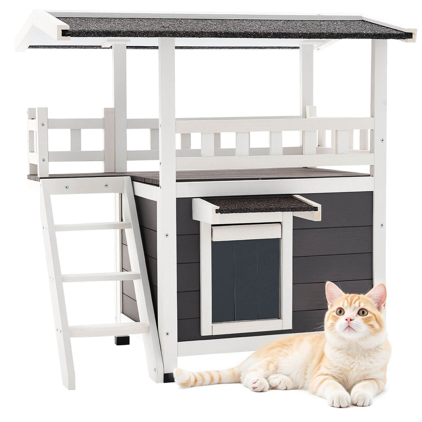 Cat house with a cat sitting in front on a white background