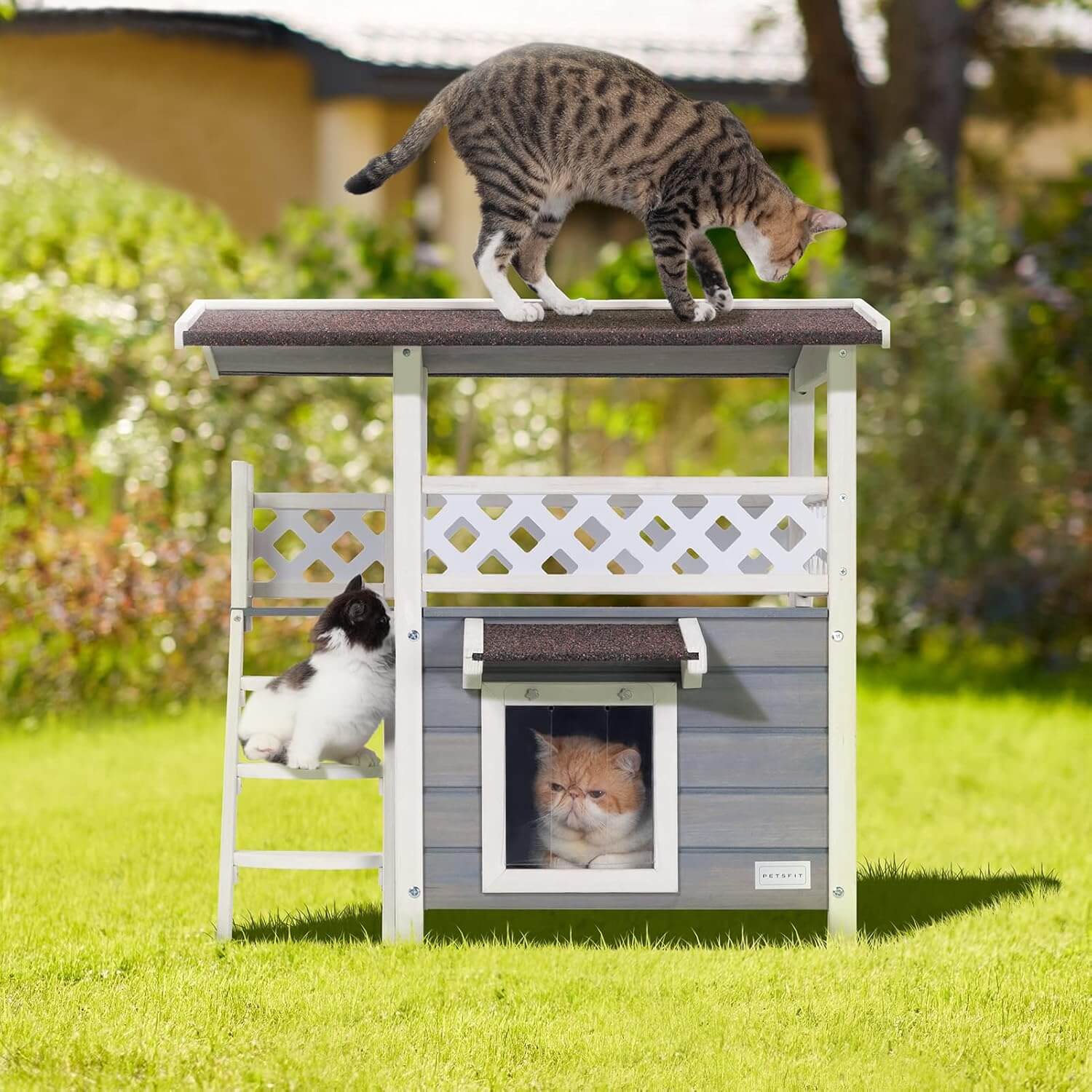 Cat house with cats on a grassy area