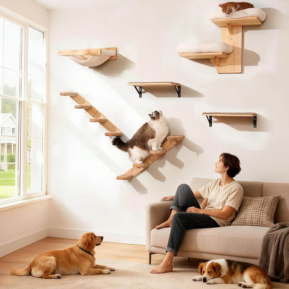 Person sitting on a couch with two dogs and multiple wooden cat shelves on the wall.
