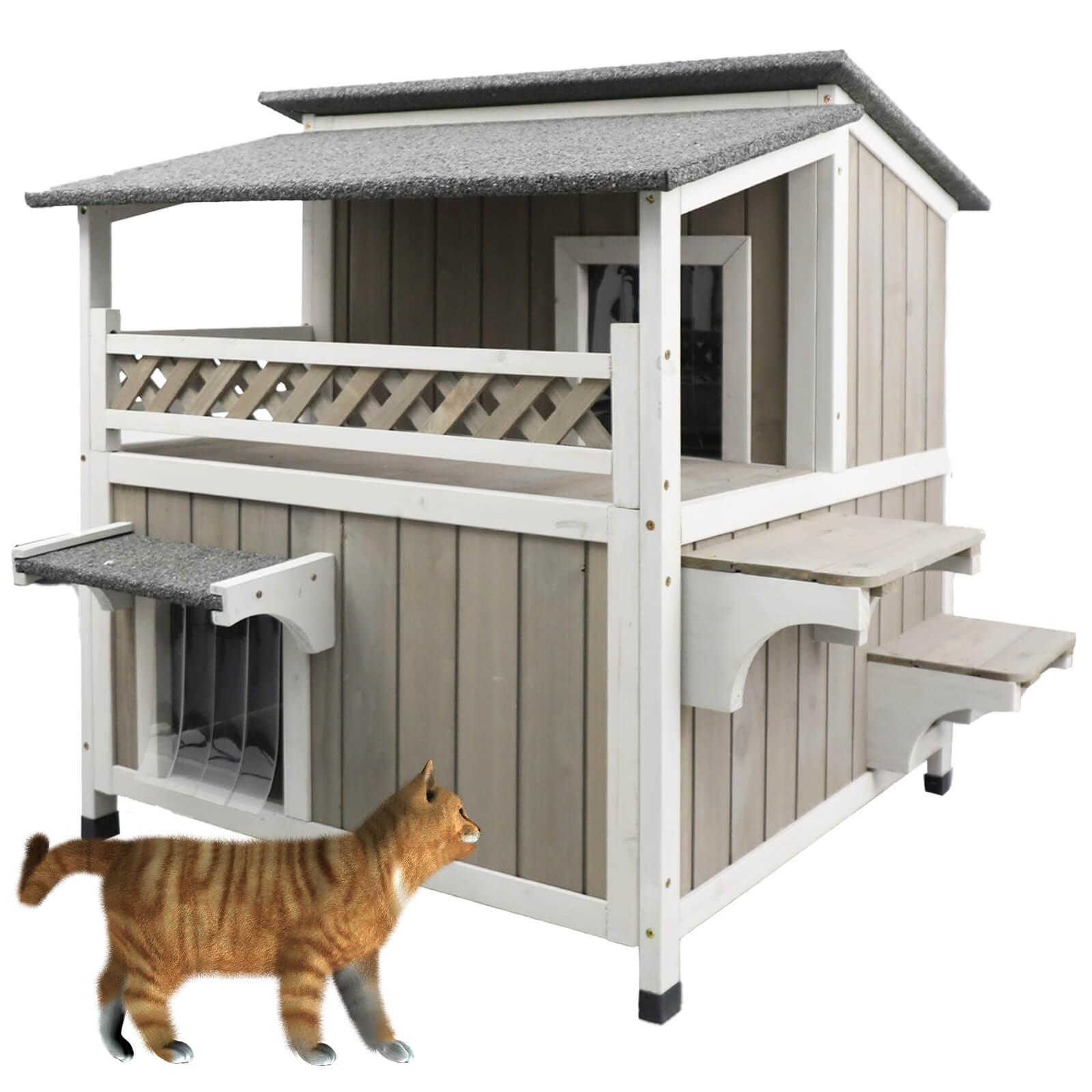 Cat house with a cat walking in front on a white background