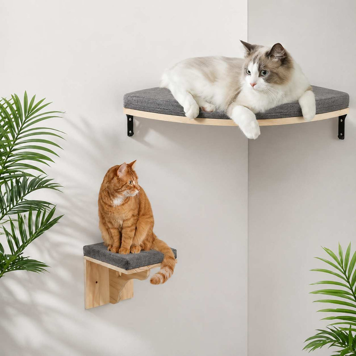 Two wall-mounted cat platforms in a light wood and gray fabric design, shown with two cats in a bright indoor setting with potted plants. One orange tabby cat sits on the lower platform, and a white and gray cat lies on the upper platform.