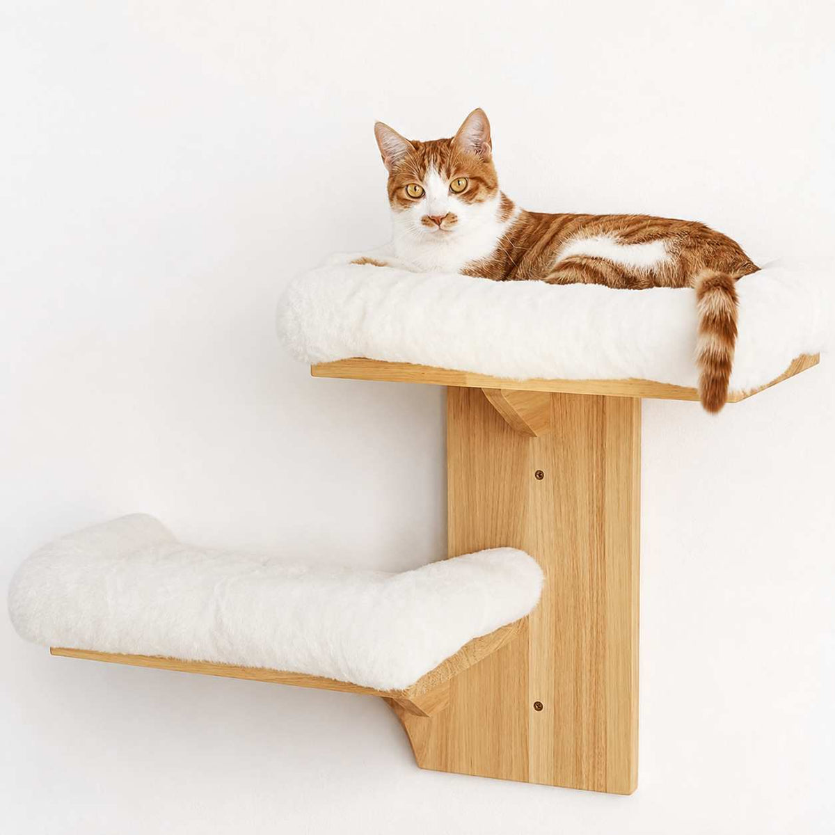 A ginger and white cat lies on a plush white cat perch mounted on a light wood wall shelf against a plain white background.
