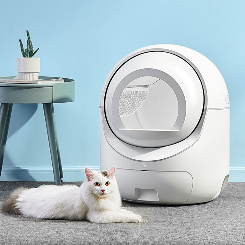 White cat lying on the floor next to a modern white automatic cat litter box with a light blue wall and small table in the background.