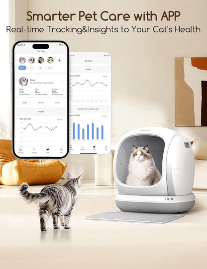 Meowant self cleaning litter box with app on smartphone and cat using the system.