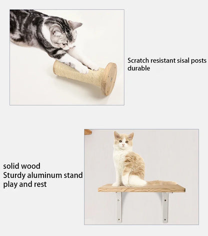 Cat Climbing Frames