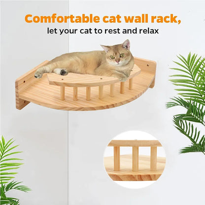 Cat Climbing Frames