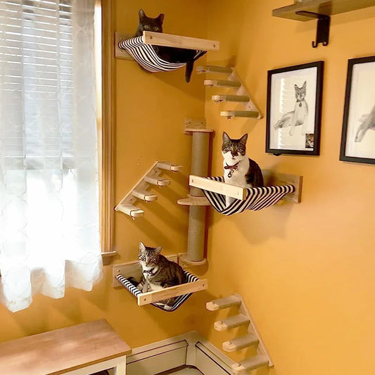 Cat climbing frames with multiple levels and hammocks on a yellow wall.