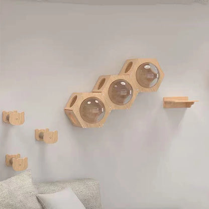 Cat Climbing Frames