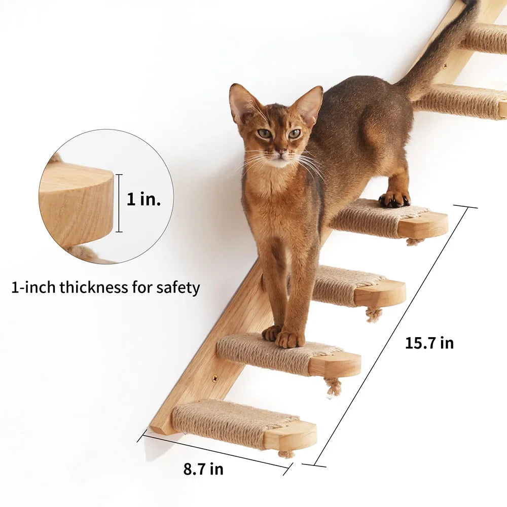 Cat Climbing Frames