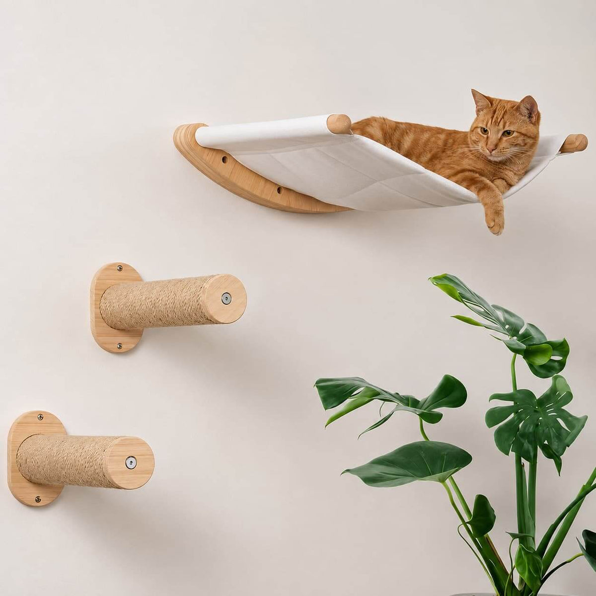 An orange tabby cat rests stretched out on a wall-mounted hammock cat bed with a natural wood frame and white fabric. Two matching wall-mounted cat scratchers are shown below on a light beige wall, with a green houseplant in the lower right corner.