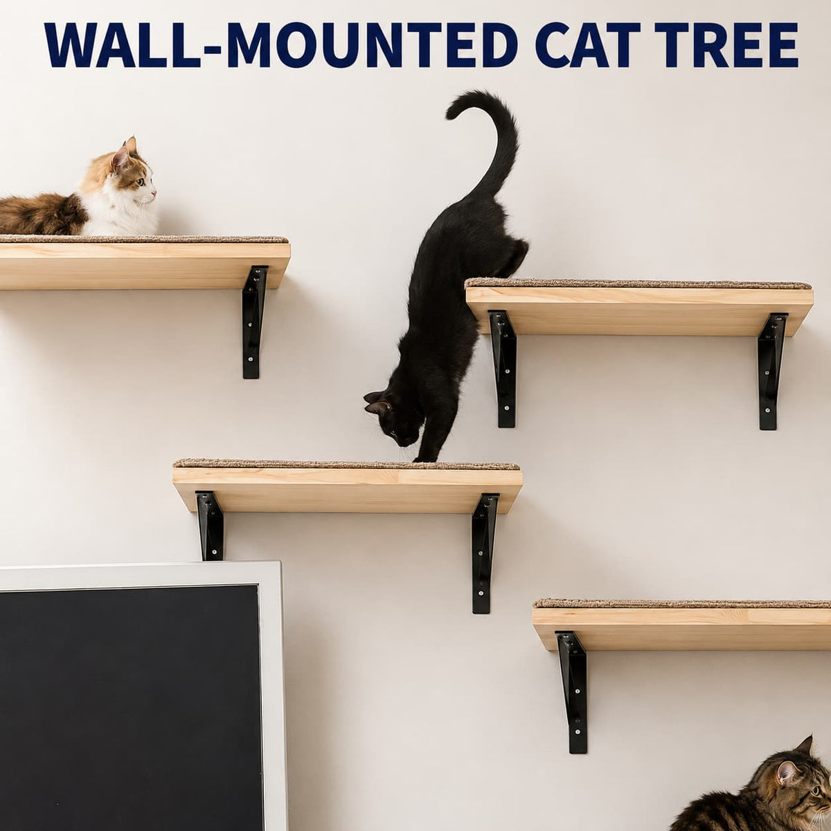 Wall-mounted cat climbing wall with multiple light wood platforms and black metal brackets, shown with three cats on and around the shelves against an off-white wall.