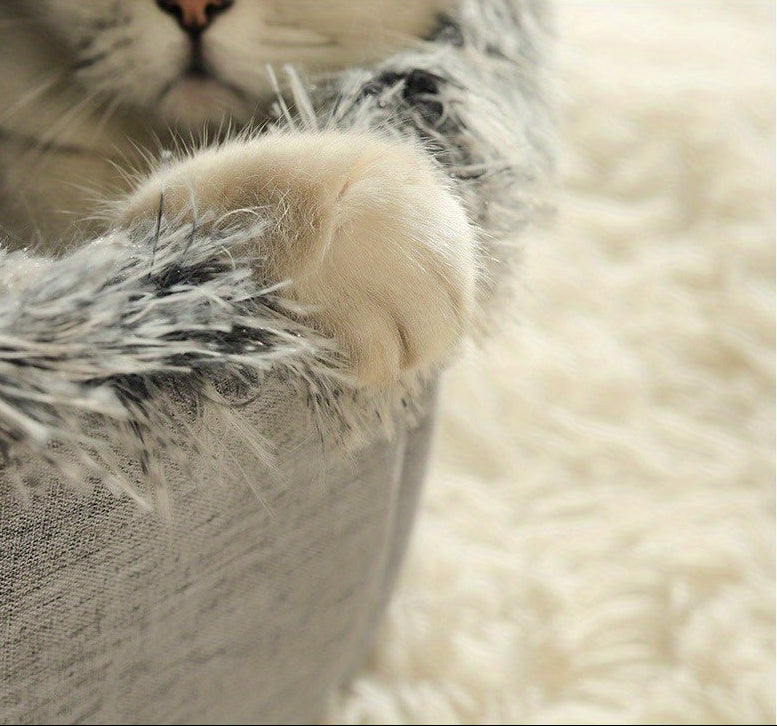 Close-up of a cat's paw stepping on a surface.