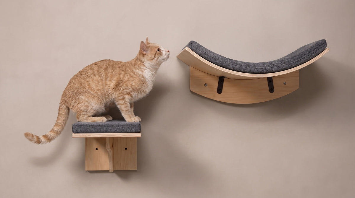An orange tabby cat stands on a small wooden wall-mounted perch with a dark gray cushion, looking toward a larger curved wooden cat bed with a matching gray cushion mounted on the wall.