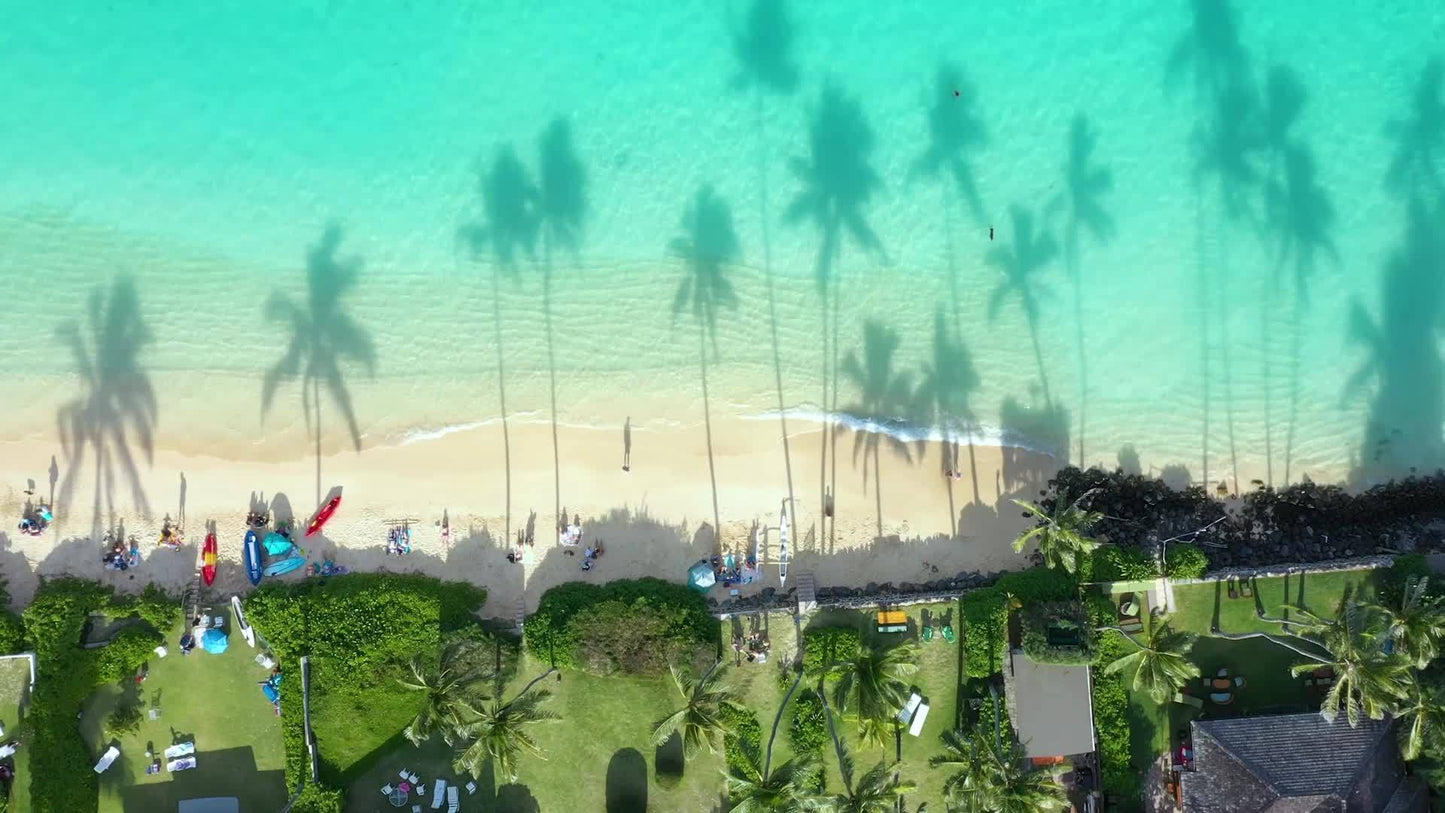 Aerial view of a tropical beach with clear turquoise water, palm trees, and people enjoying the sun.