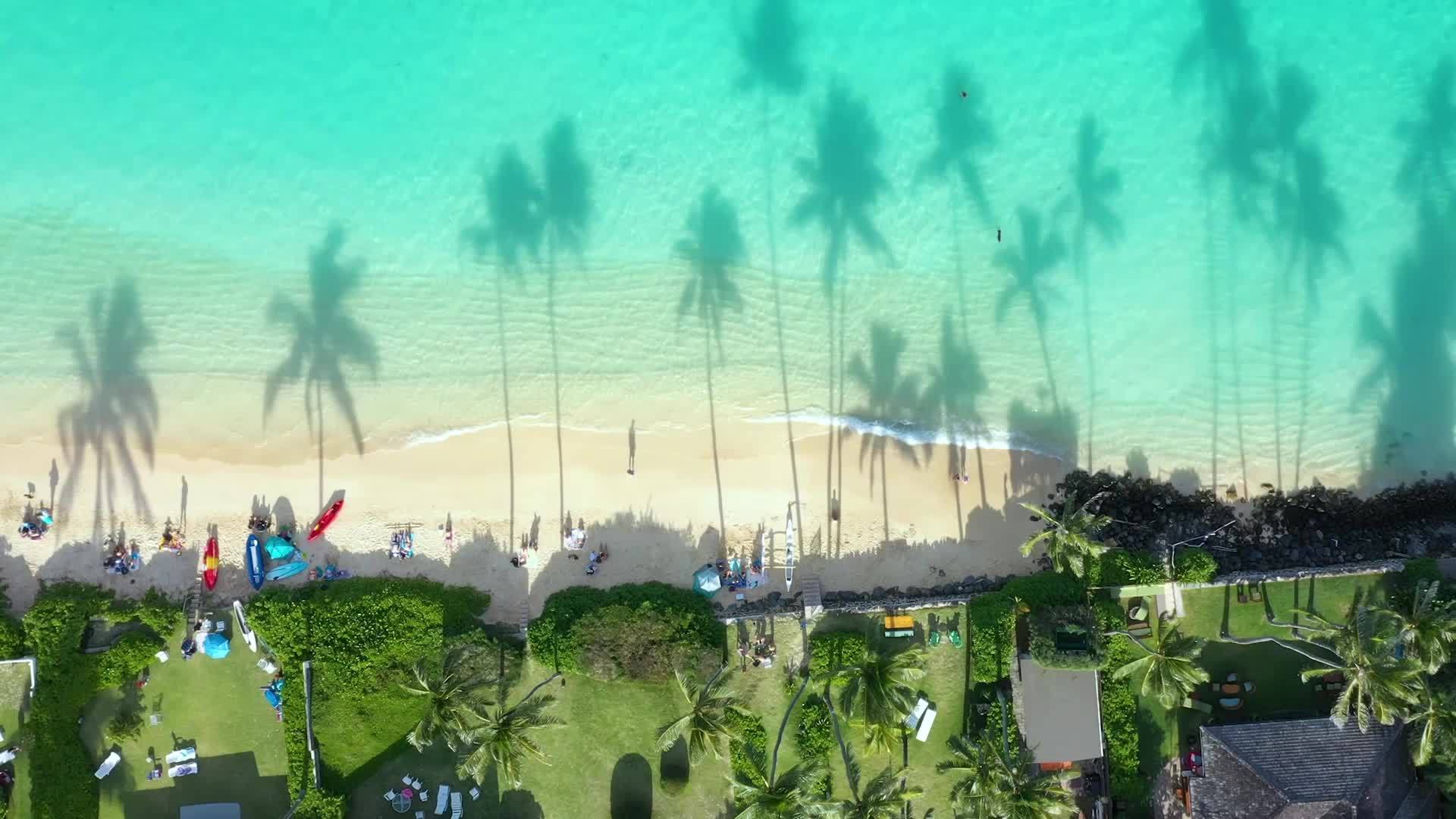 Aerial view of a tropical beach with clear turquoise water, palm trees, and people enjoying the sun.