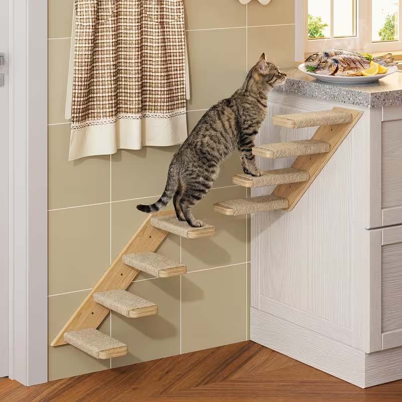 A tabby cat stands on a wooden staircase pet ramp installed beside a kitchen counter, with tiled walls, a curtain, and a plate of food visible in the background.