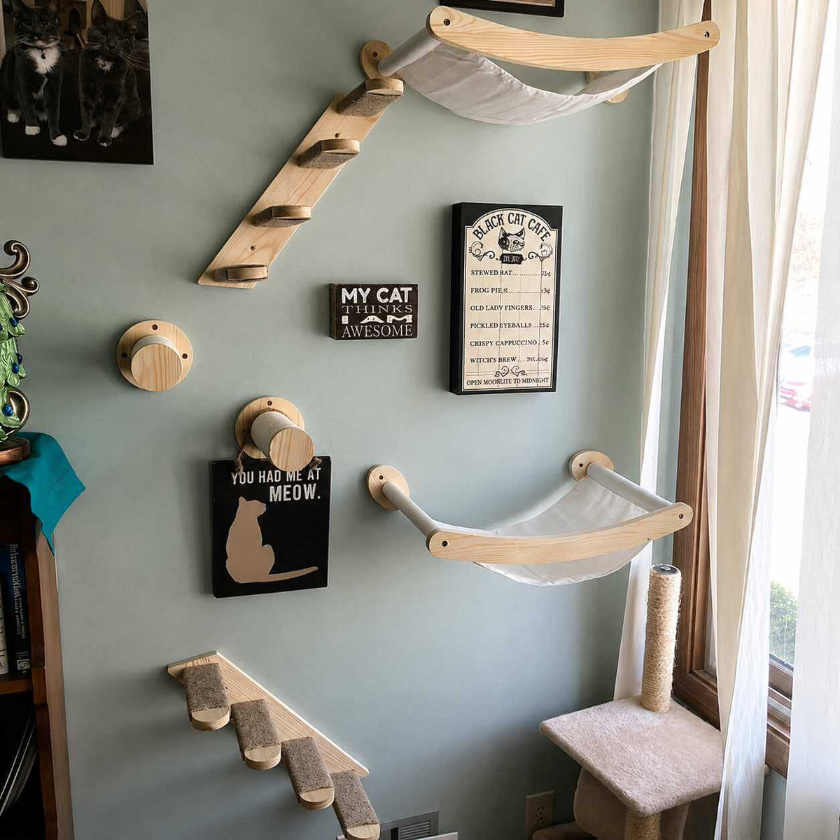 A wall-mounted cat climbing and resting setup in a home interior, including wooden cat stairs, fabric hammocks, circular perch mounts, framed cat-themed wall art, and a cat tree near a window.