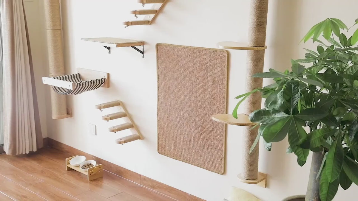 Load video: Smart scoop cat litter box​ with a cat inside and a smartphone app displayed on a white background
